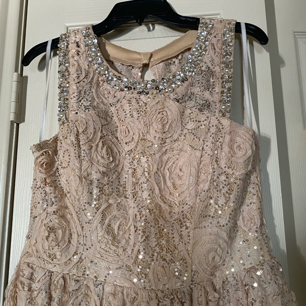 Jodi Kristopher dress. Size 13 with jewels, pearls, and sequins!